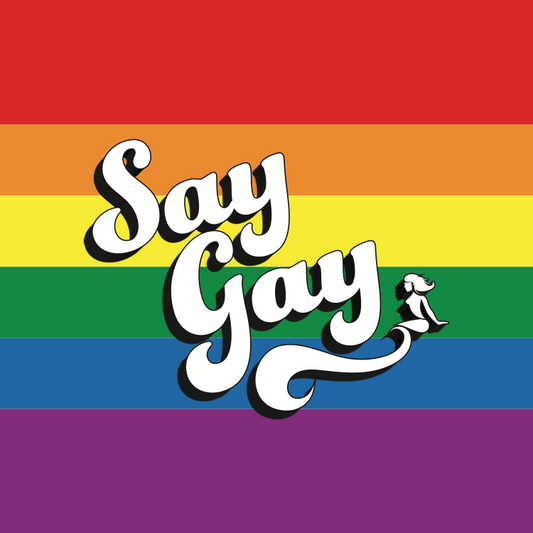 Say Gay, Florida?